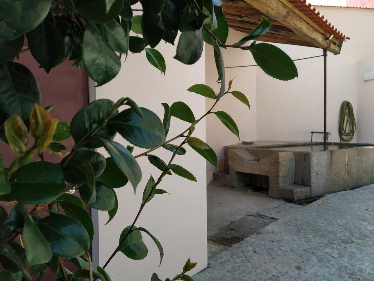Hostel Entresocalcos Loriga Zewnętrze zdjęcie